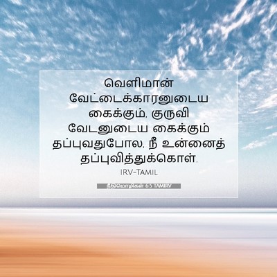Picture 07 - நீதிமொழிகள் 6:5 TAMIRV - வெளிமான் - Bible Verse Picture