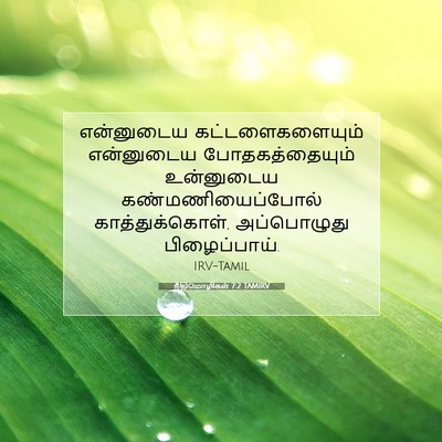 Picture 07 - நீதிமொழிகள் 7:2 TAMIRV - என்னுடைய - Bible Verse Picture