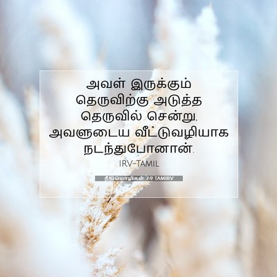 Picture 07 - நீதிமொழிகள் 7:9 TAMIRV - அவள் இருக்கும் - Bible Verse Picture