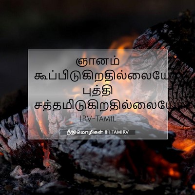 Picture 07 - நீதிமொழிகள் 8:1 TAMIRV - ஞானம் - Bible Verse Picture