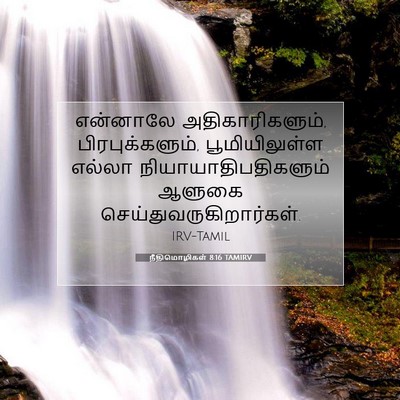 Picture 07 - நீதிமொழிகள் 8:16 TAMIRV - என்னாலே - Bible Verse Picture