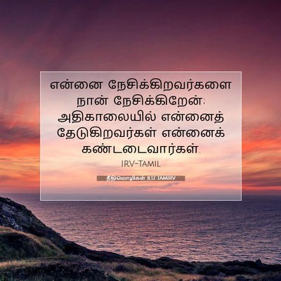 Picture 07 - நீதிமொழிகள் 8:17 TAMIRV - என்னை - Bible Verse Picture