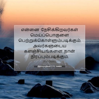 Picture 07 - நீதிமொழிகள் 8:20 TAMIRV - என்னை - Bible Verse Picture