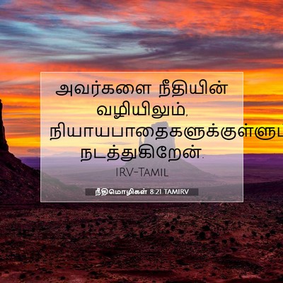 Picture 07 - நீதிமொழிகள் 8:21 TAMIRV - அவர்களை நீதியின் - Bible Verse Picture