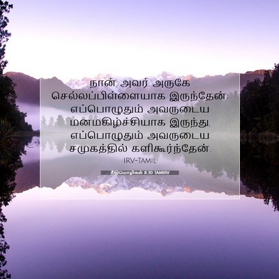 Picture 07 - நீதிமொழிகள் 8:30 TAMIRV - நான் அவர் அருகே - Bible Verse Picture