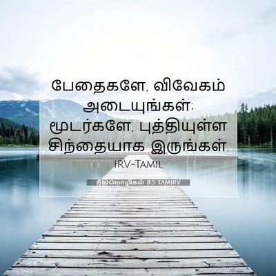 Picture 07 - நீதிமொழிகள் 8:5 TAMIRV - பேதைகளே, விவேகம் - Bible Verse Picture