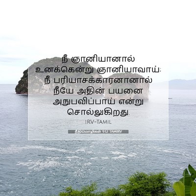 Picture 07 - நீதிமொழிகள் 9:12 TAMIRV - நீ ஞானியானால் - Bible Verse Picture