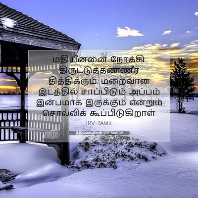 Picture 07 - நீதிமொழிகள் 9:17 TAMIRV - மதியீனனை நோக்கி: - Bible Verse Picture