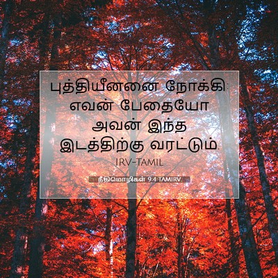 Picture 07 - நீதிமொழிகள் 9:4 TAMIRV - புத்தியீனனை - Bible Verse Picture