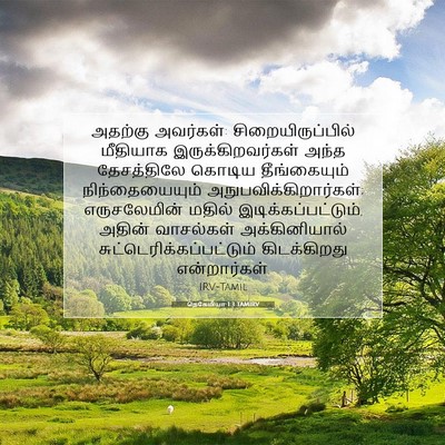 Picture 07 - நெகேமியா 1:3 TAMIRV - அதற்கு அவர்கள்: - Bible Verse Picture