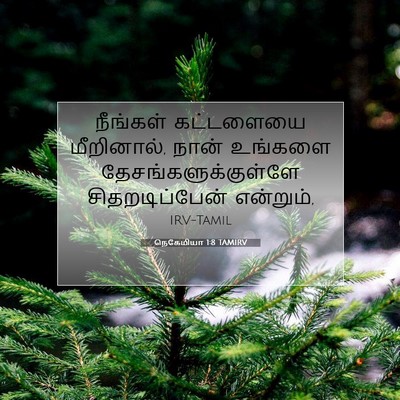 Picture 07 - நெகேமியா 1:8 TAMIRV - நீங்கள் கட்டளையை - Bible Verse Picture