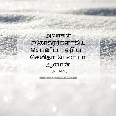 Picture 07 - நெகேமியா 10:10 TAMIRV - அவர்கள் - Bible Verse Picture