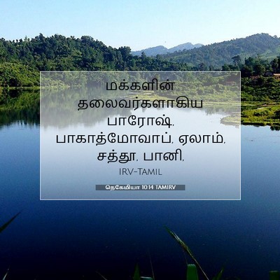 Picture 07 - நெகேமியா 10:14 TAMIRV - மக்களின் - Bible Verse Picture