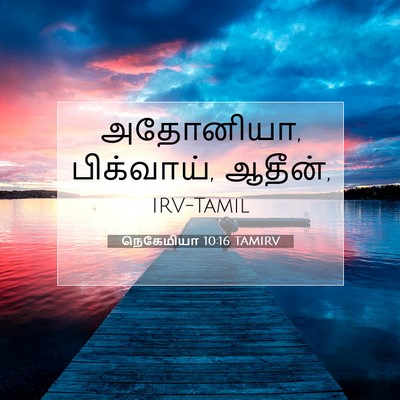 Picture 07 - நெகேமியா 10:16 TAMIRV - அதோனியா, பிக்வாய், - Bible Verse Picture