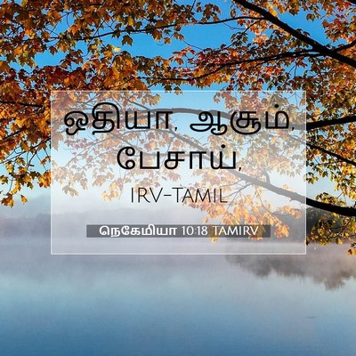 Picture 07 - நெகேமியா 10:18 TAMIRV - ஒதியா, ஆசூம், - Bible Verse Picture