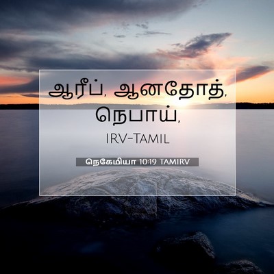 Picture 07 - நெகேமியா 10:19 TAMIRV - ஆரீப், ஆனதோத், - Bible Verse Picture