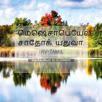 Picture 07 - நெகேமியா 10:21 TAMIRV - மெஷெசாபெயேல், - Bible Verse Picture