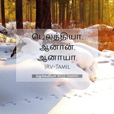 Picture 07 - நெகேமியா 10:22 TAMIRV - பெலத்தியா, ஆனான், - Bible Verse Picture
