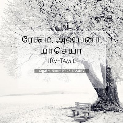 Picture 07 - நெகேமியா 10:25 TAMIRV - ரேகூம், அஷபனா, - Bible Verse Picture