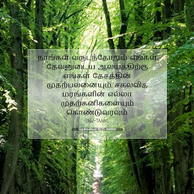 Picture 07 - நெகேமியா 10:35 TAMIRV - நாங்கள் - Bible Verse Picture