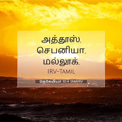 Picture 07 - நெகேமியா 10:4 TAMIRV - அத்தூஸ், செபனியா, - Bible Verse Picture