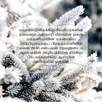 Picture 07 - நெகேமியா 11:22 TAMIRV -  - Bible Verse Picture