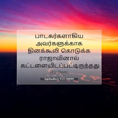 Picture 07 - நெகேமியா 11:23 TAMIRV - பாடகர்களாகிய - Bible Verse Picture