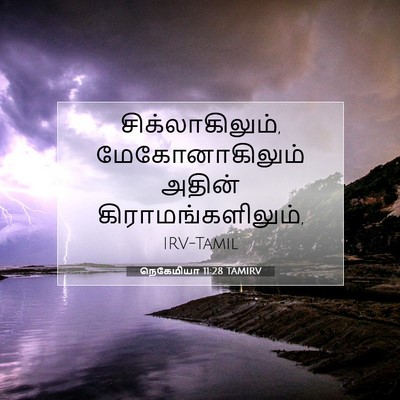 Picture 07 - நெகேமியா 11:28 TAMIRV - சிக்லாகிலும், - Bible Verse Picture
