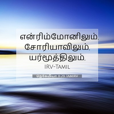 Picture 07 - நெகேமியா 11:29 TAMIRV - என்ரிம்மோனிலும், - Bible Verse Picture