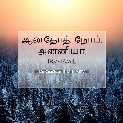 Picture 07 - நெகேமியா 11:32 TAMIRV - ஆனதோத், நோப், - Bible Verse Picture