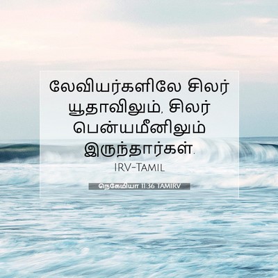 Picture 07 - நெகேமியா 11:36 TAMIRV - லேவியர்களிலே - Bible Verse Picture