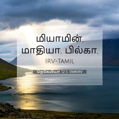 Picture 07 - நெகேமியா 12:5 TAMIRV - மியாமின், மாதியா, - Bible Verse Picture
