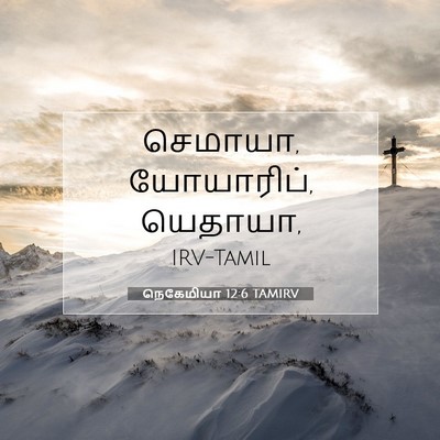 Picture 07 - நெகேமியா 12:6 TAMIRV - செமாயா, யோயாரிப், - Bible Verse Picture