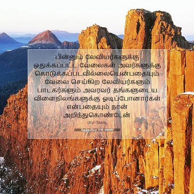 Picture 07 - நெகேமியா 13:10 TAMIRV - பின்னும் - Bible Verse Picture
