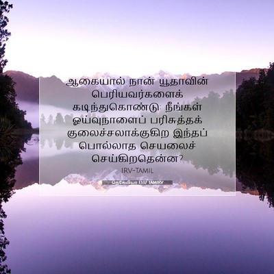 Picture 07 - நெகேமியா 13:17 TAMIRV - ஆகையால் நான் - Bible Verse Picture