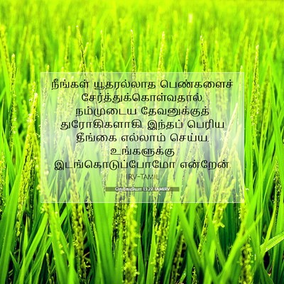 Picture 07 - நெகேமியா 13:27 TAMIRV - நீங்கள் யூதரல்லாத - Bible Verse Picture