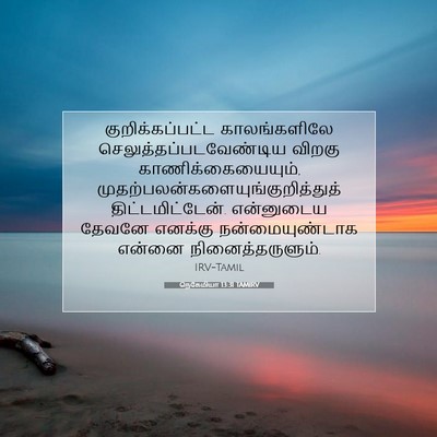 Picture 07 - நெகேமியா 13:31 TAMIRV - குறிக்கப்பட்ட - Bible Verse Picture