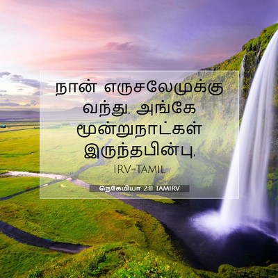 Picture 07 - நெகேமியா 2:11 TAMIRV - நான் எருசலேமுக்கு - Bible Verse Picture