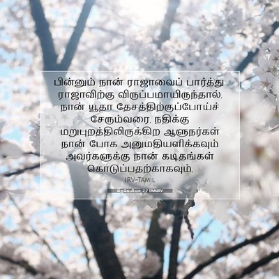 Picture 07 - நெகேமியா 2:7 TAMIRV - பின்னும் நான் - Bible Verse Picture