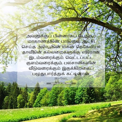 Picture 07 - நெகேமியா 3:16 TAMIRV - அவனுக்குப் - Bible Verse Picture