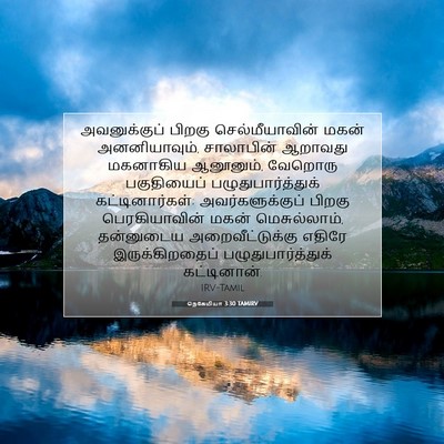 Picture 07 - நெகேமியா 3:30 TAMIRV - அவனுக்குப் பிறகு - Bible Verse Picture