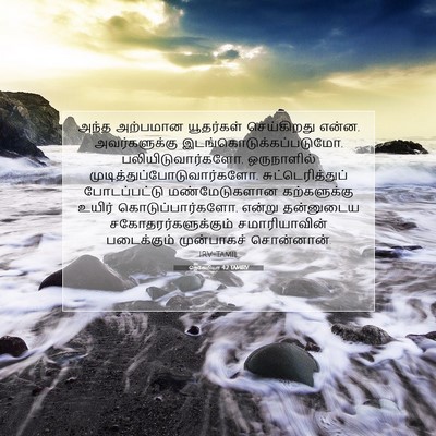 Picture 07 - நெகேமியா 4:2 TAMIRV - அந்த அற்பமான - Bible Verse Picture