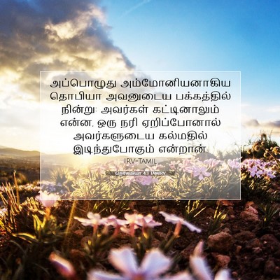 Picture 07 - நெகேமியா 4:3 TAMIRV - அப்பொழுது - Bible Verse Picture