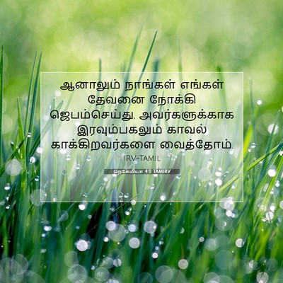 Picture 07 - நெகேமியா 4:9 TAMIRV - ஆனாலும் நாங்கள் - Bible Verse Picture