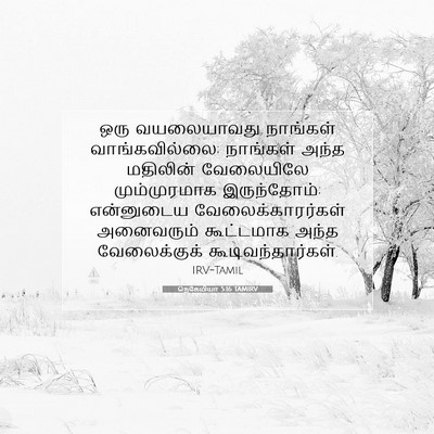 Picture 07 - நெகேமியா 5:16 TAMIRV - ஒரு வயலையாவது - Bible Verse Picture