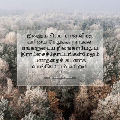 Picture 07 - நெகேமியா 5:4 TAMIRV - இன்னும் சிலர்: - Bible Verse Picture
