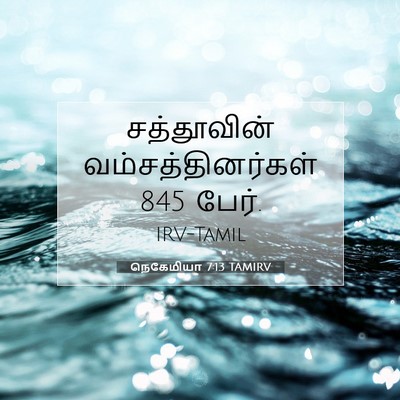 Picture 07 - நெகேமியா 7:13 TAMIRV - சத்தூவின் - Bible Verse Picture