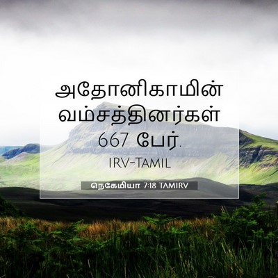 Picture 07 - நெகேமியா 7:18 TAMIRV - அதோனிகாமின் - Bible Verse Picture