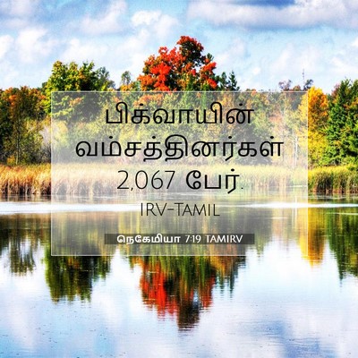 Picture 07 - நெகேமியா 7:19 TAMIRV - பிக்வாயின் - Bible Verse Picture