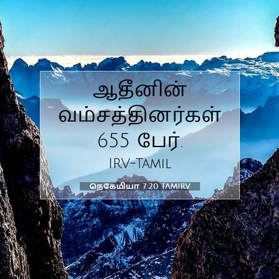 Picture 07 - நெகேமியா 7:20 TAMIRV - ஆதீனின் - Bible Verse Picture